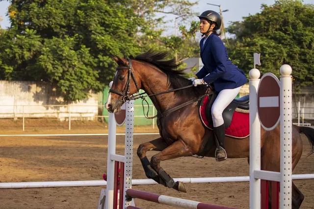 Madras School of Equitation Trust — Horse Riding in Guindy