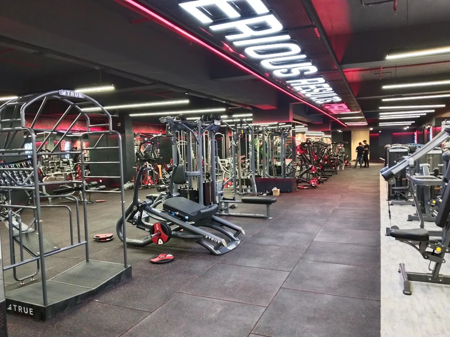 Powerhouse Gym Mohali | Best Gym in Mohali — Strength & Powerlifting in Sector 67, Mohali