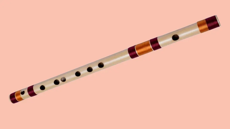 Anhad Naad Foundation — Music in Paschim Vihar, Delhi