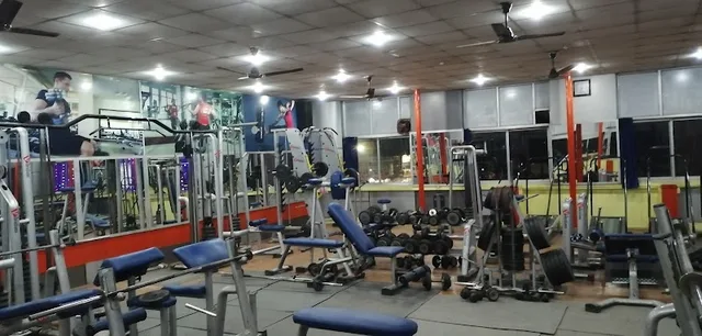 Vibrations Gym