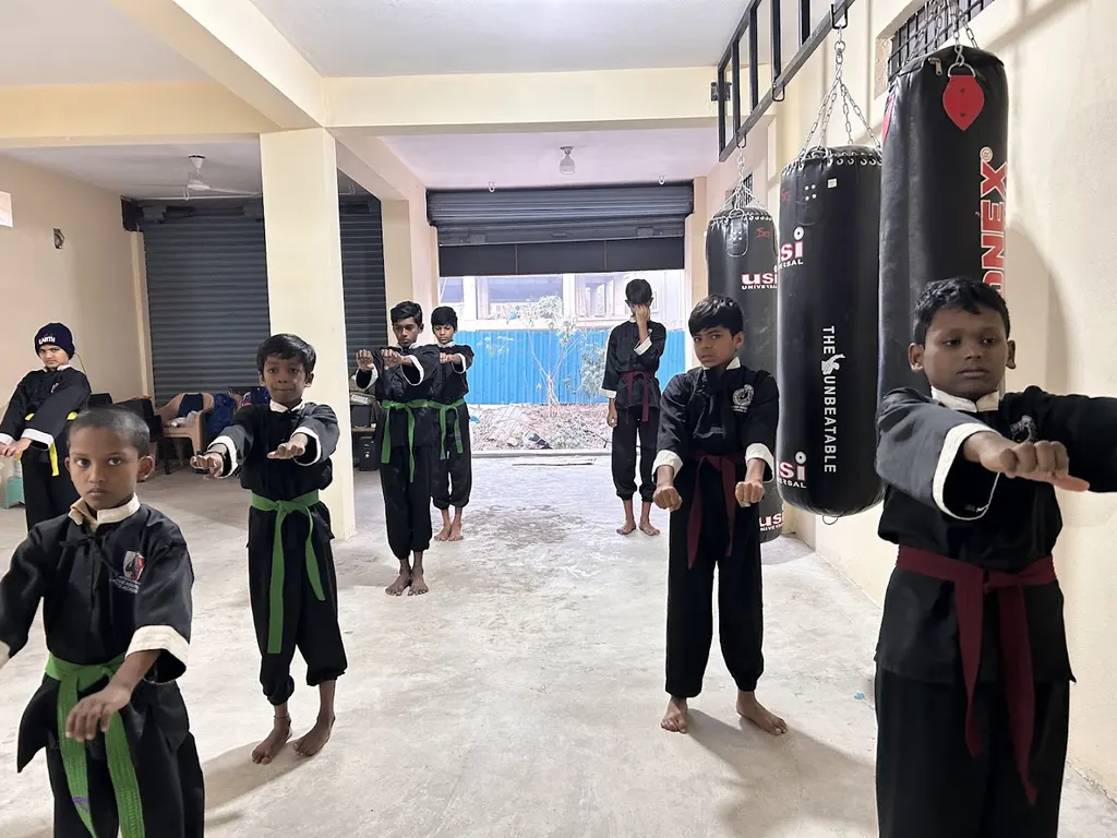 BSR MARTIAL ARTS ACADEMY & DANCE STUDIO — Dance in Kukatpally