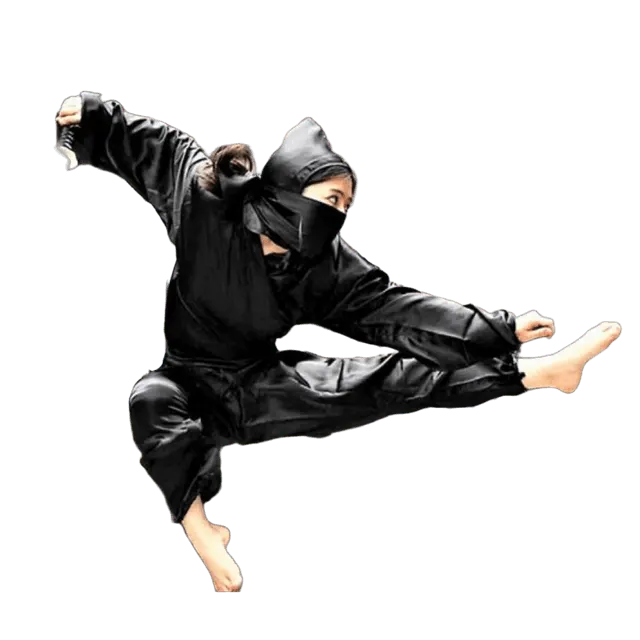 Ninja Sports Martial Art Academy — Martial Arts in Sonia Vihar, Delhi