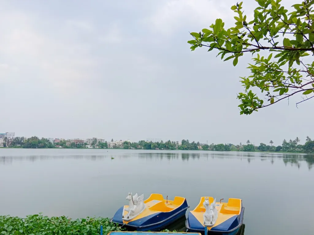 Eco Aquatic Hub — Swimming in Tangra