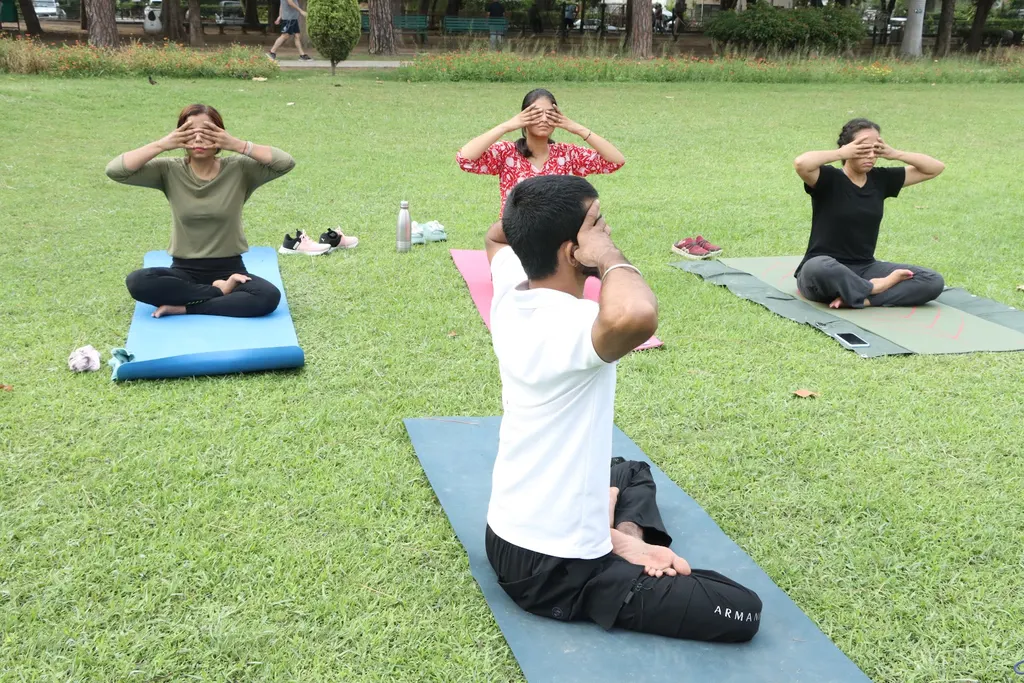 Yogkoshal — Yoga in Sector 51