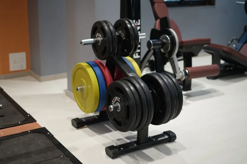 Blood Sweat Tears Gym — Bedla