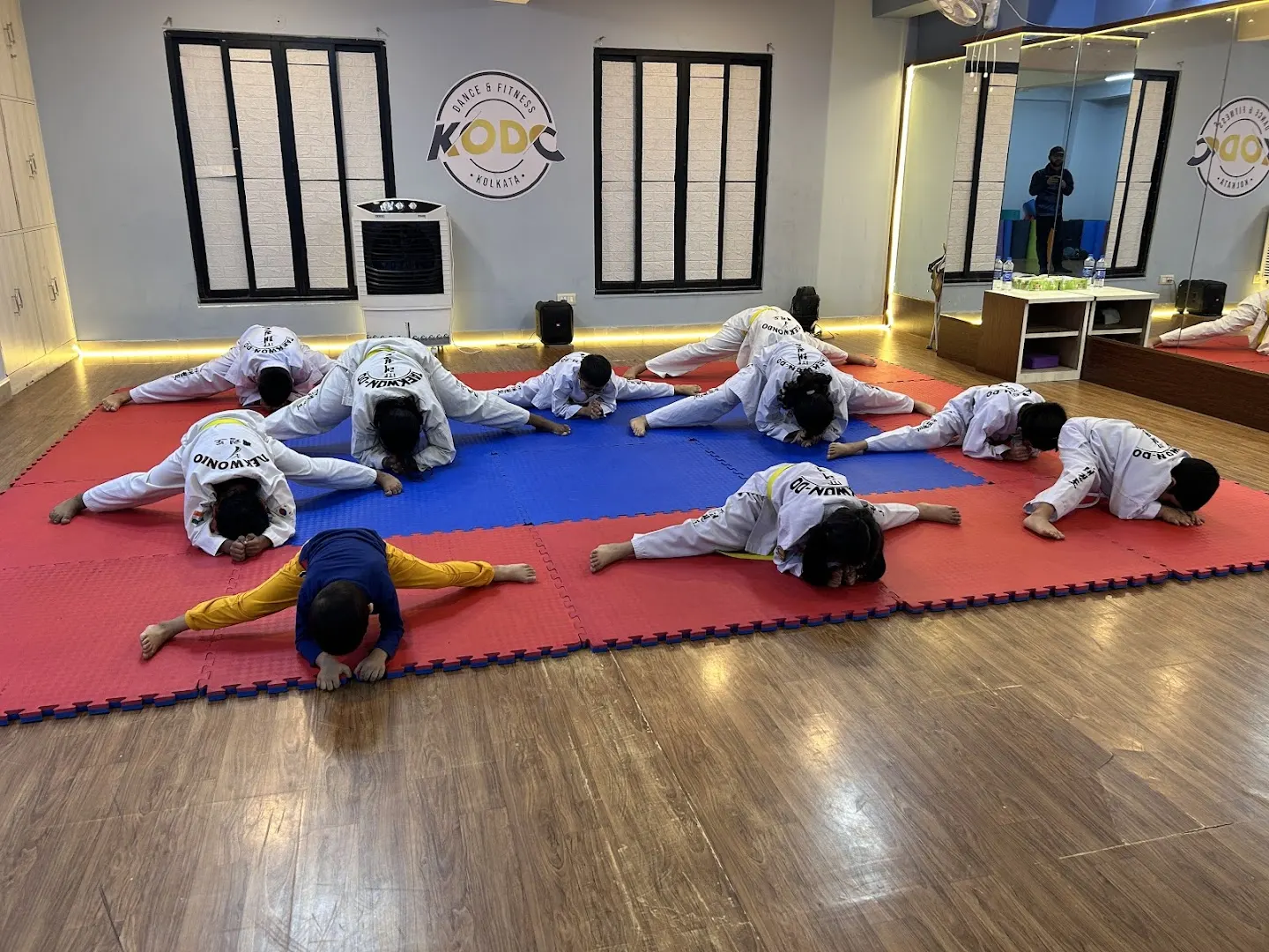 Soham's Traditional Taekwondo & Fitness photo 1