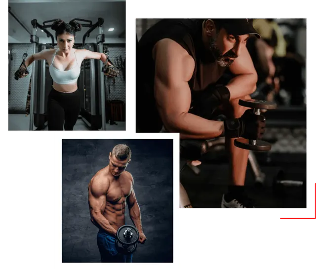 Anatomy Lifestyle Fitness