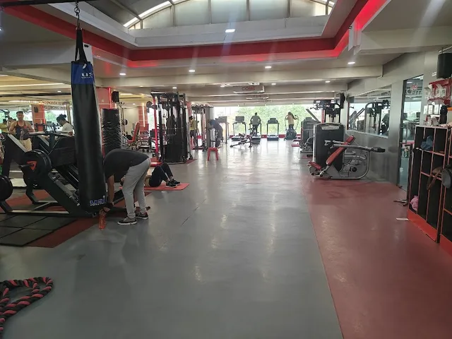 Spark Fitness