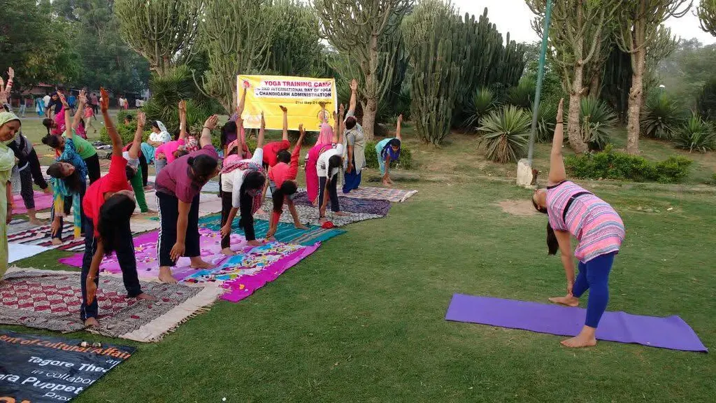 Jancy Yoga Fitness Club — Yoga in Dhakoli