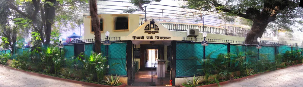 Shivaji Park Gymkhana — Cricket in Dadar, Mumbai
