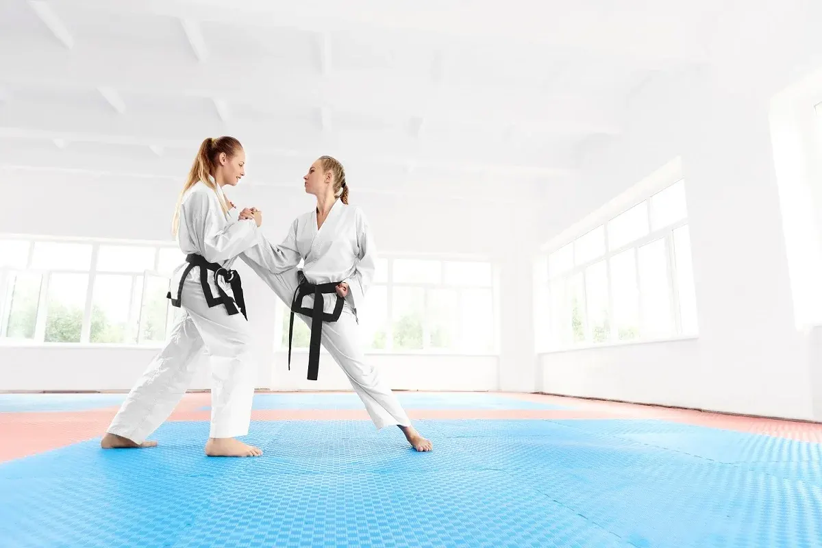 Black Panther Karate -Tai - Kyu - Do Martial Arts — Martial Arts in Vaishali, Ghaziabad
