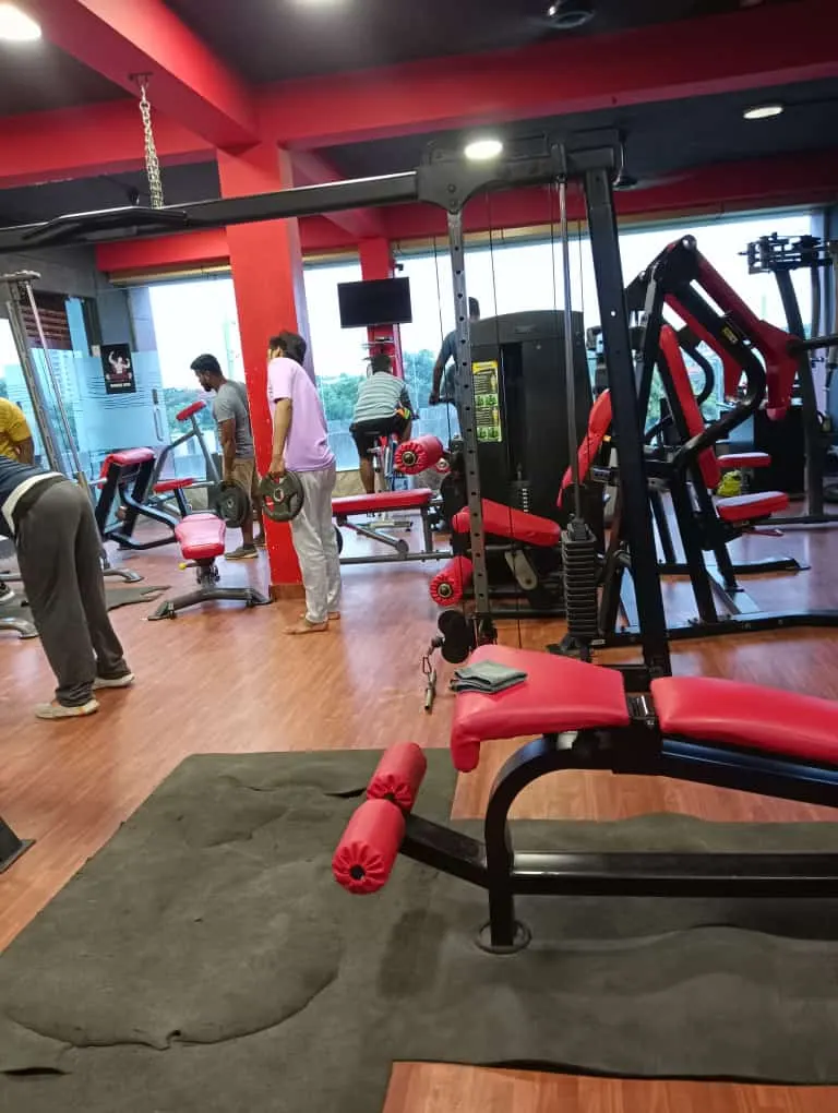 Weights Club — Standard Gym in Mylapore, Chennai
