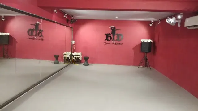 Studio Born To Dance — Dance in Sector 41