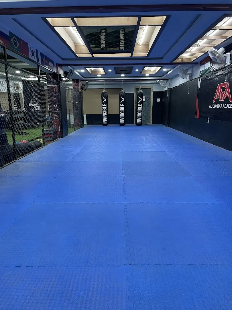 ALI COMBAT ACADEMY — Martial Arts in Hafeezpet