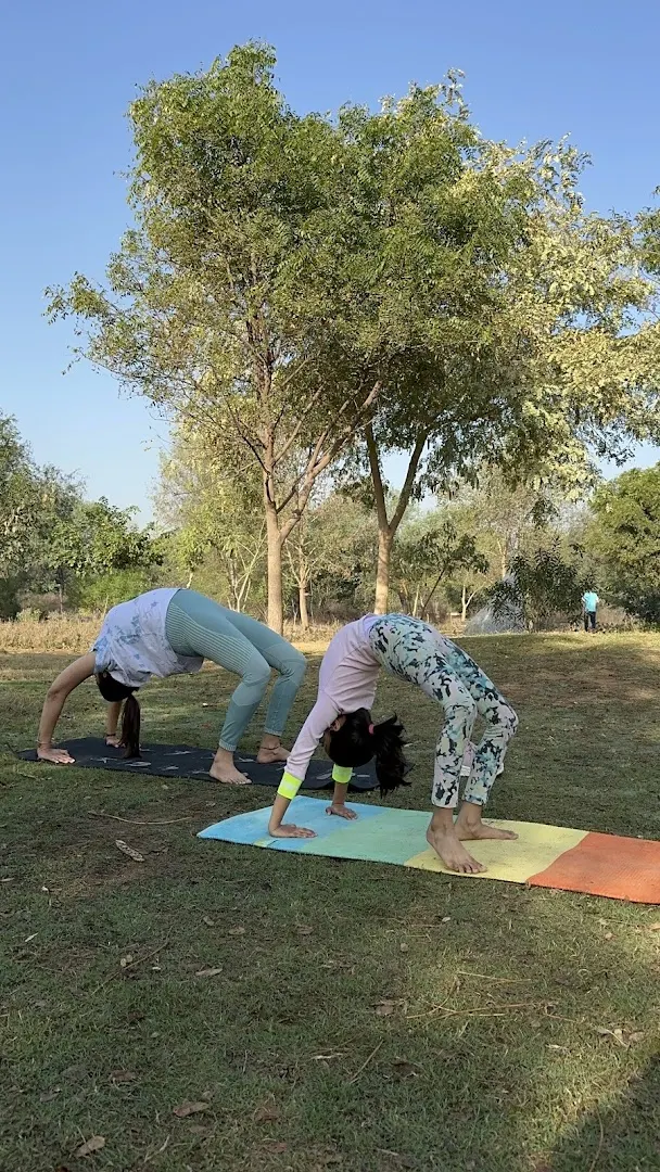 Dana Methi Yoga and Wellness — Yoga in Jhotwara