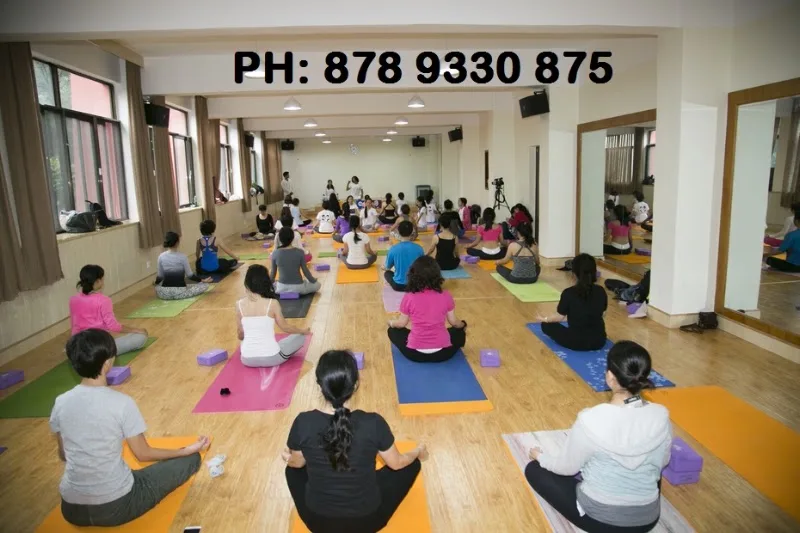 YOGA and MEDITATION classes. ( Home service also) photo 1
