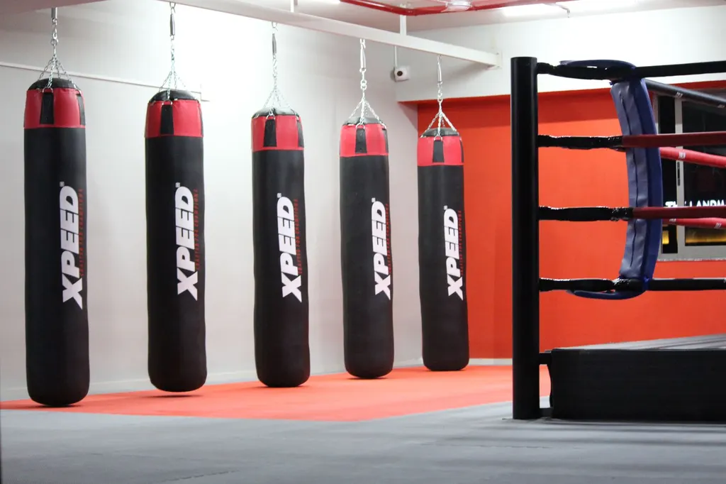 Ashwar Martial Arts — Martial Arts in Kudasan