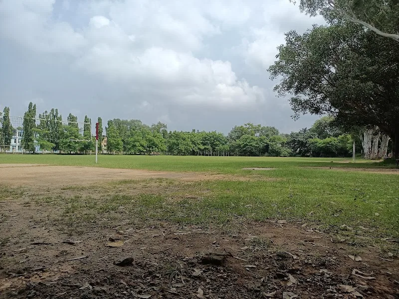 NIAMT Cricket Ground — Cricket in NIAMT Colony