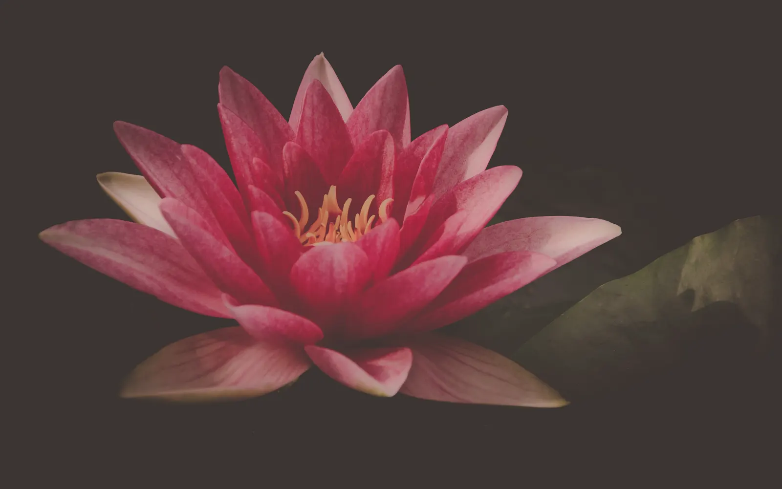 Rhythmic Yoga Studio - Yoga Classes in Indirapuram — Yoga in Indirapuram, Ghaziabad
