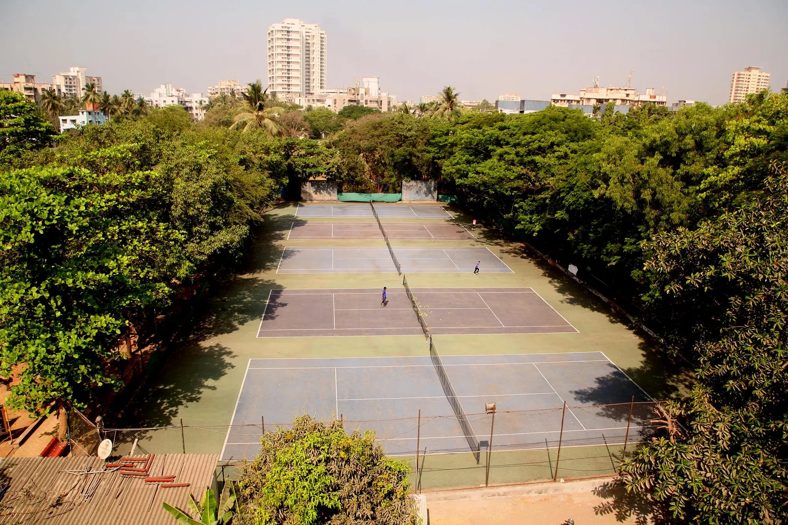Leo Tennis Academy photo 1