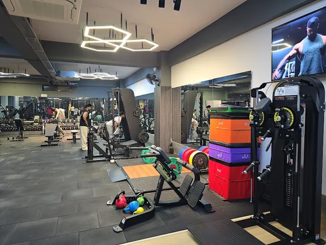 Barbell Therapy Gym