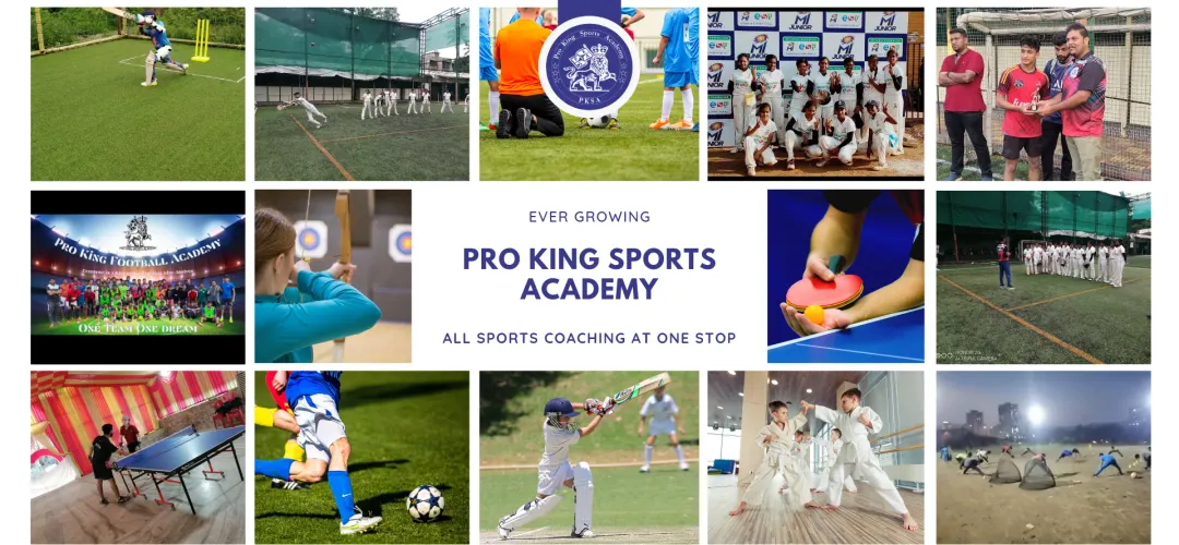 Pro King Cricket Academy Dadar ShivajiPark Branch photo 1