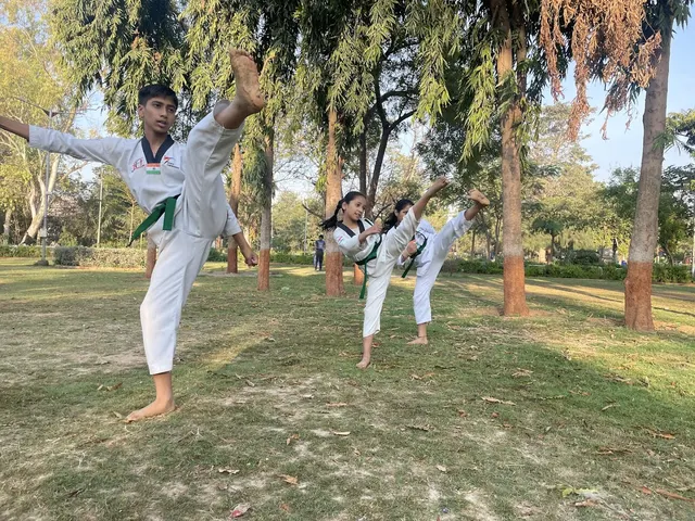 Hawk Taekwondo Training Centre — Martial Arts in Vasna