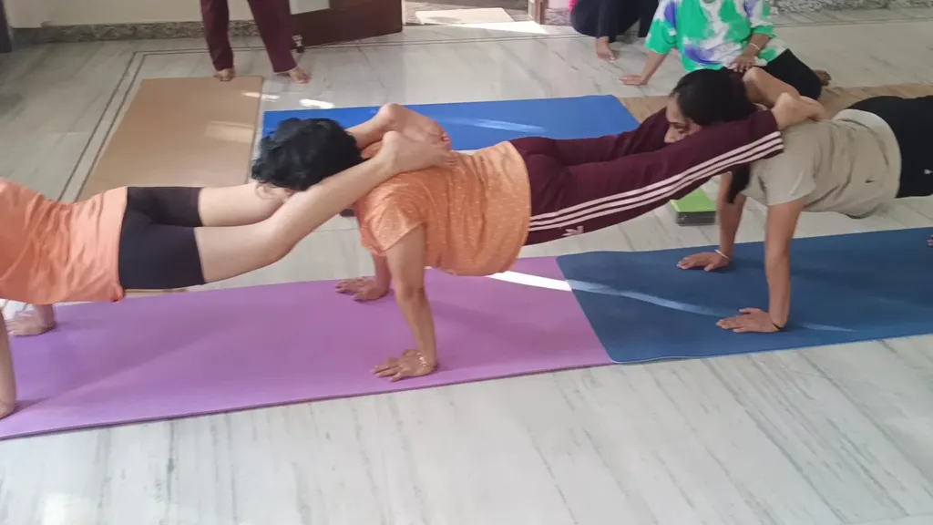 ASHTANG YOG SHALA- Yoga Classes in panchkula | Group Classes — Yoga in Sector 9
