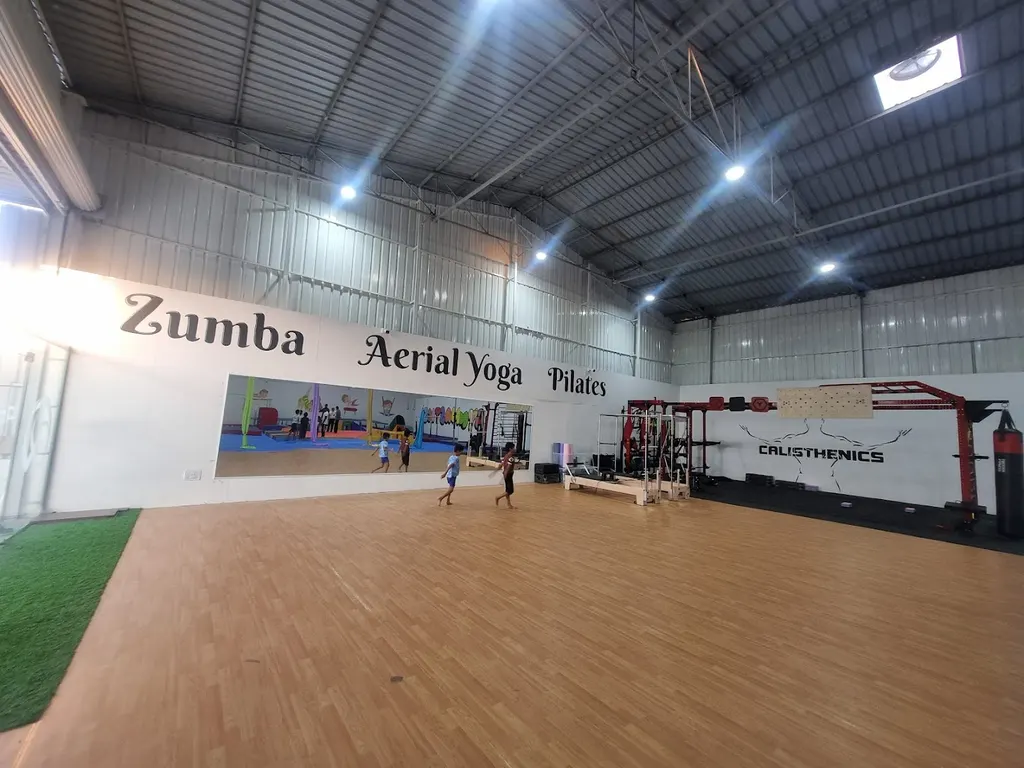 Activ Roots — Gymnastics in Langar Houz