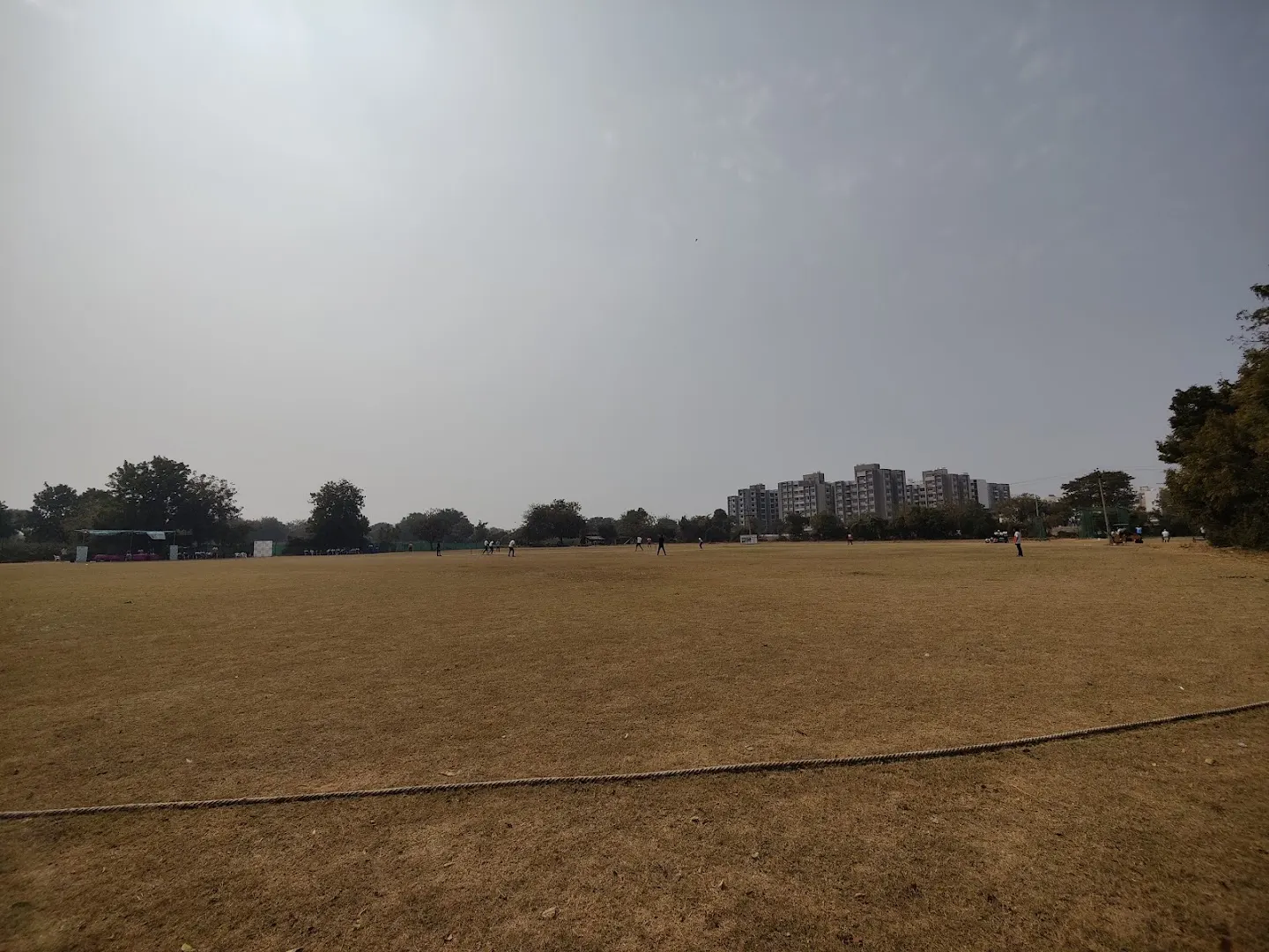 Mango Tree Cricket Ground — Cricket in Sector 16, Gandhinagar