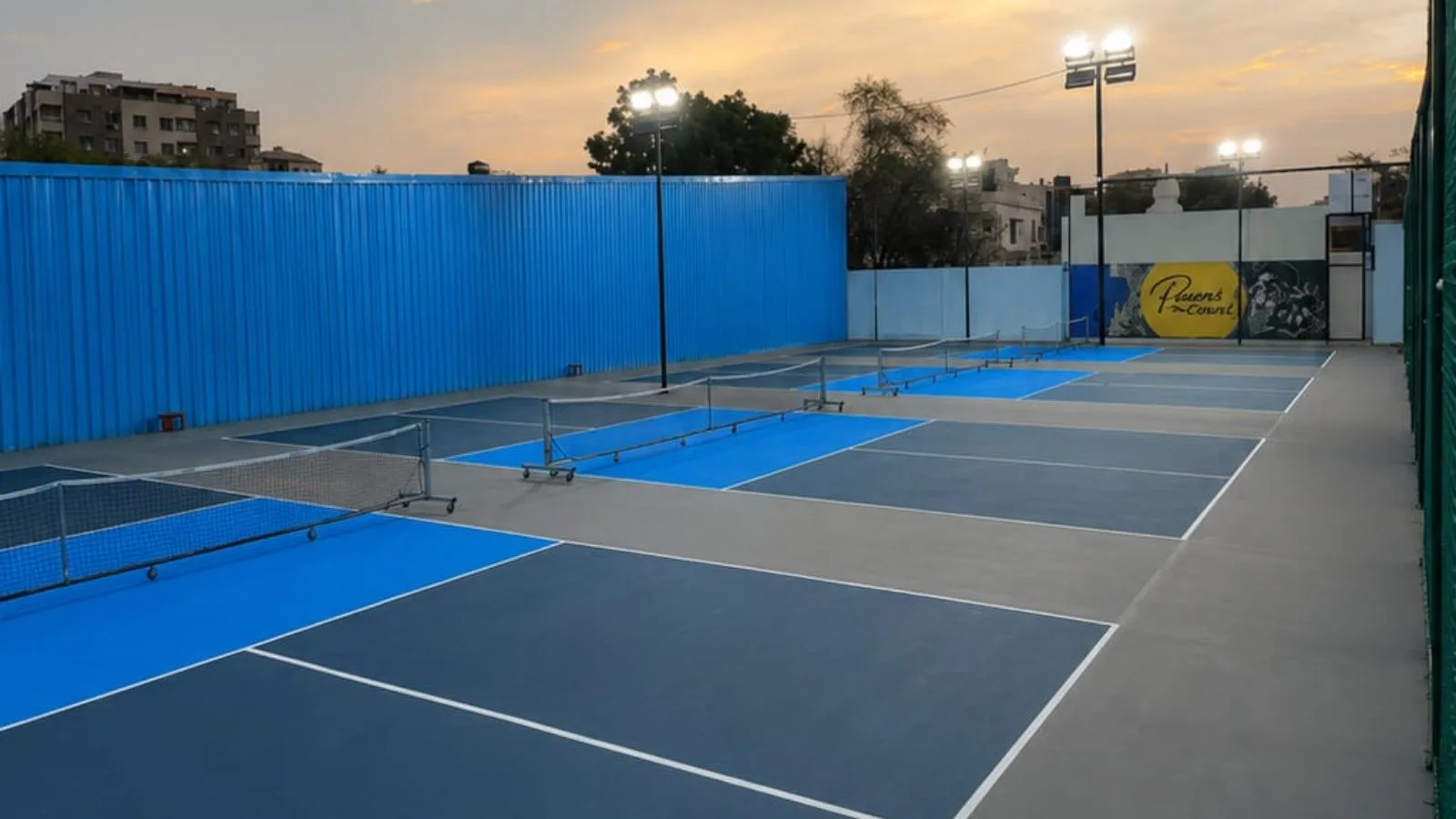 Param's Pickleball photo 1