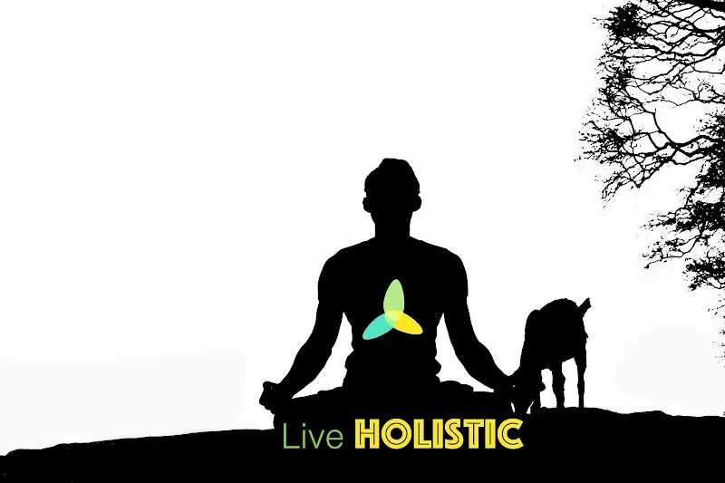Live Holistic Wellness — Yoga in Argora