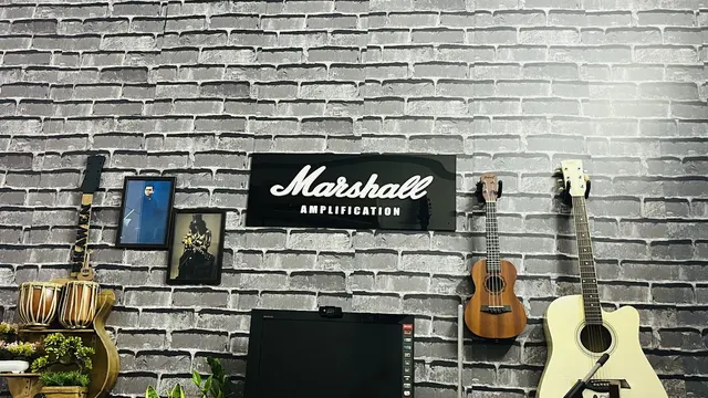 Kaushal Music School — Music in Bani Park