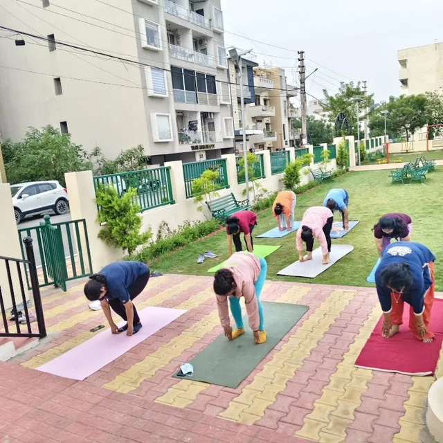 S&S fitness tarot hub