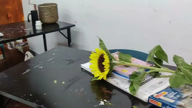 Expressions Art Studio — Art & Craft in Pimple Saudagar