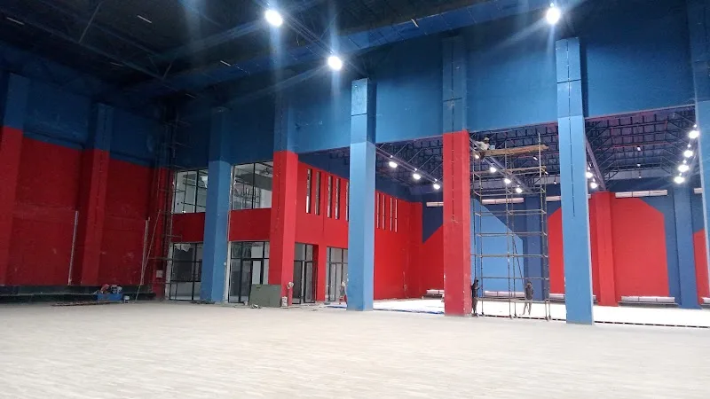 Padukone Sports Management - Badminton Academy — Badminton in Kaonli