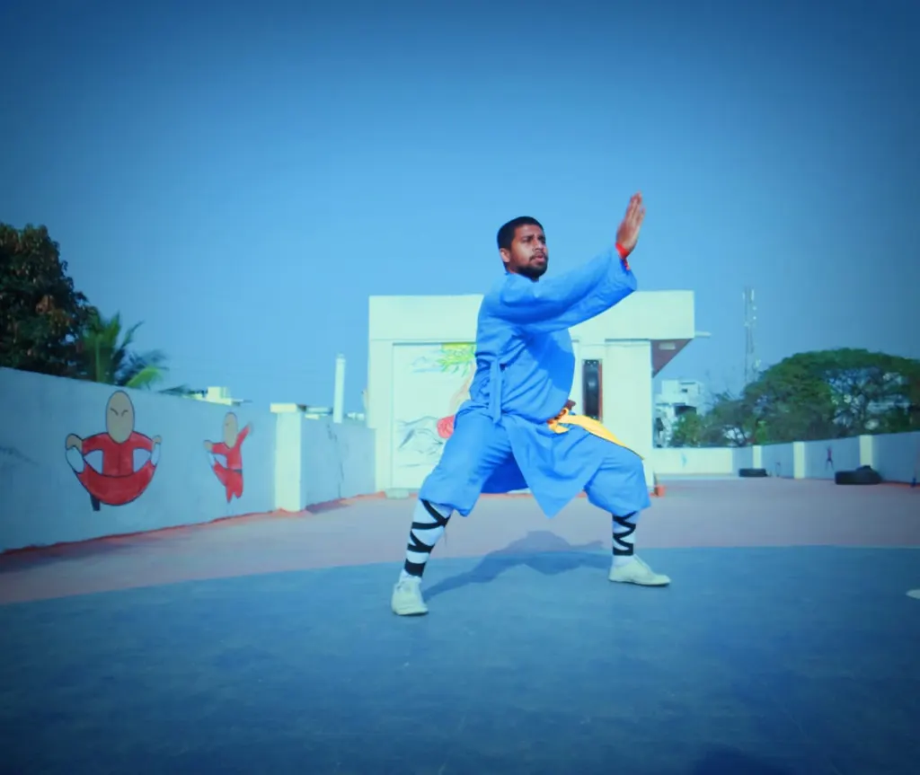 Shaolin Tiger's — Martial Arts in Sainikpuri