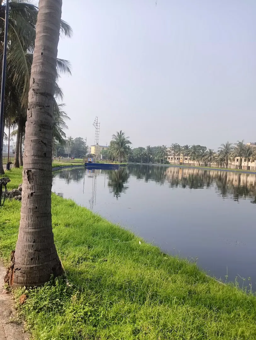 Basketball Court — Basketball in Tikiapara