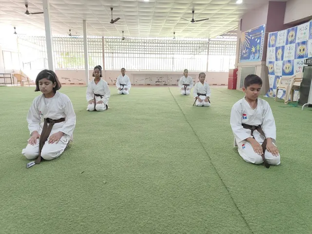 INSTITUTE OF SHOTOKAN KARATE — Martial Arts in Sargasan