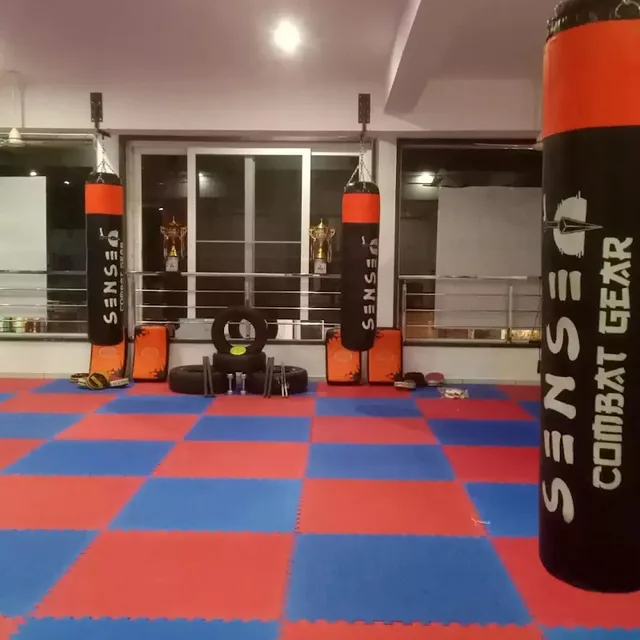 Sensei Raj Academy
