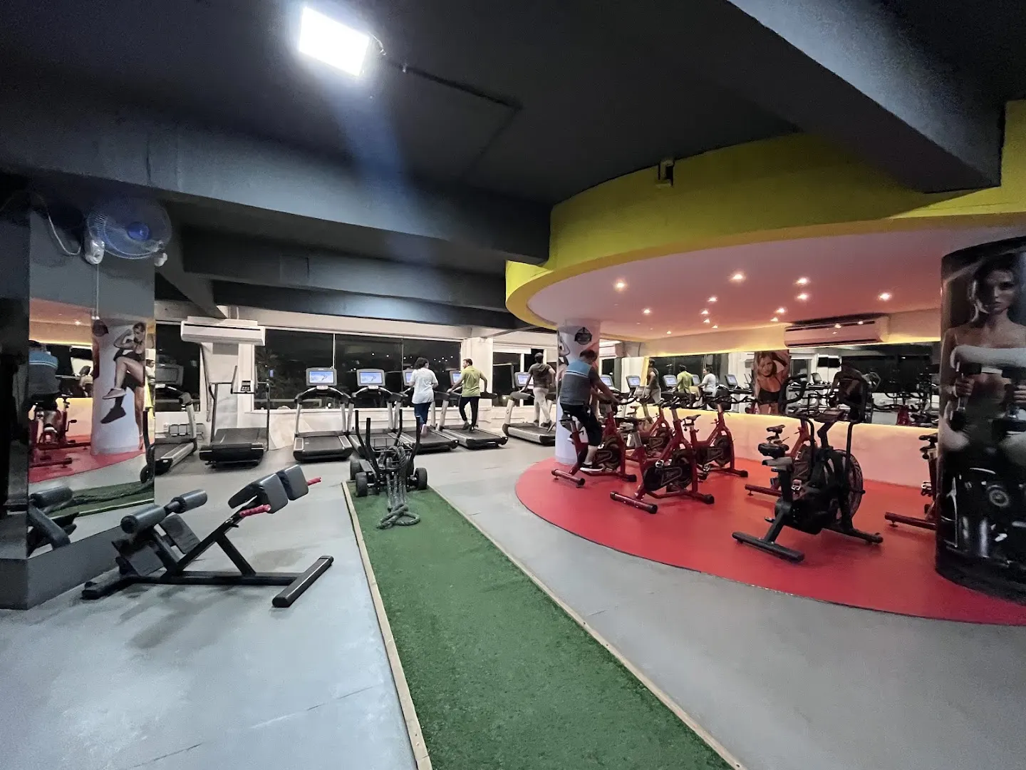 The Gym World — Standard Gym in Sector 11, Gandhinagar