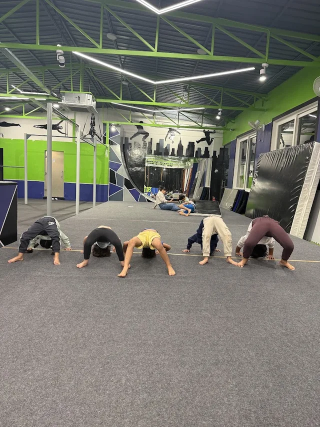 St8 Fitness