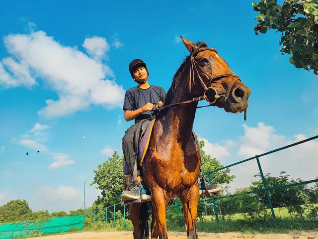 Indian Army Horse Riding Club Palm Grove — Horse Riding in Park Town