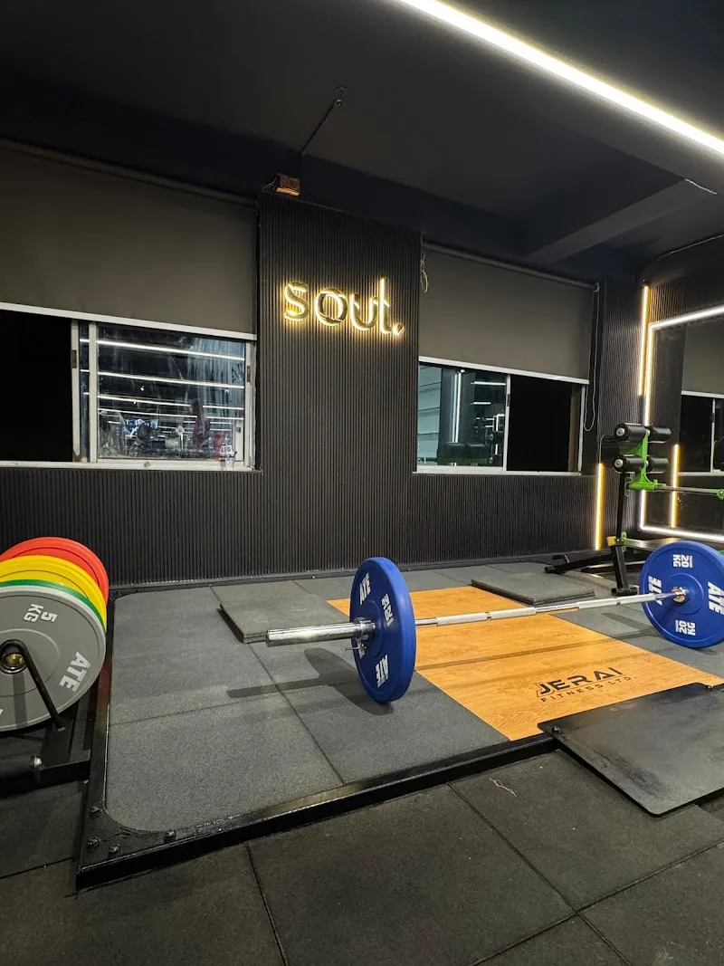 Soul fitness — Fitness Center in New Barhi Toli