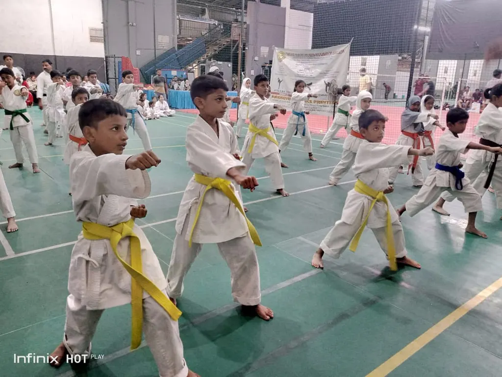 Madras Arts And Sports Academy — Martial Arts in Old Washermanpet