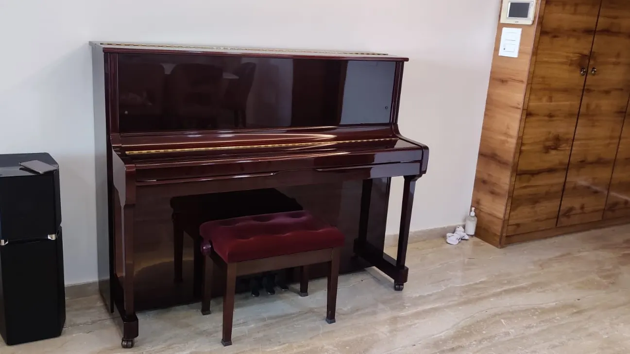 Dolce Music Institute & Custom guitars! — Music in Himayatnagar, Hyderabad