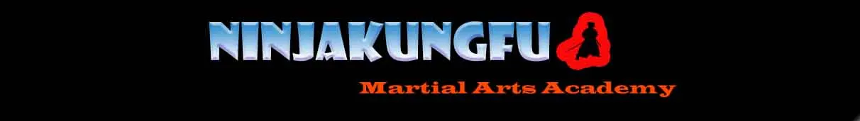 Ninja Kungfu Martial arts academy photo 1