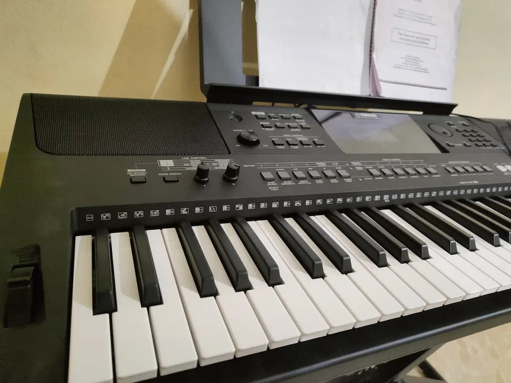 Samir's music — Music in Phursungi