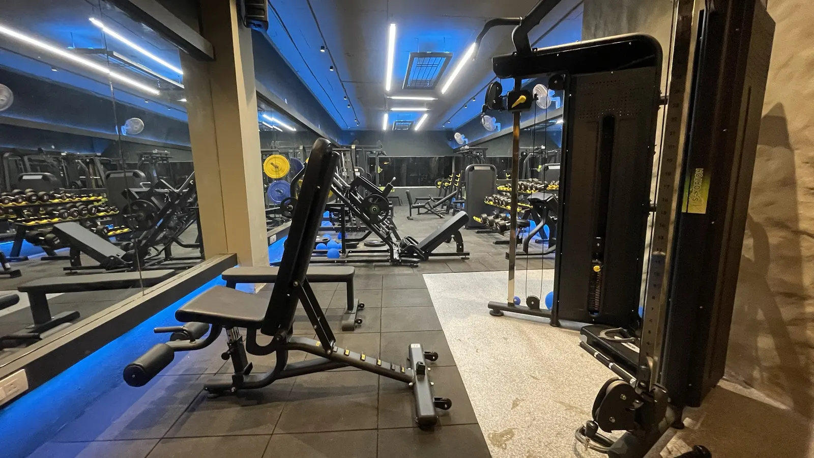 FOREVER FITNESS — Fitness Center in Sector 60, Mohali