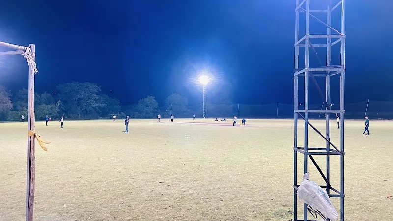 The Cricket Cage 360 (TCC 360) — Cricket in Naranka